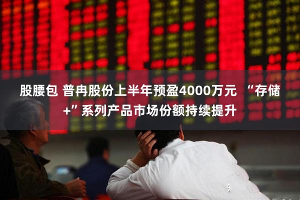 股腰包 普冉股份上半年预盈4000万元  “存储+”系列产品市场份额持续提升