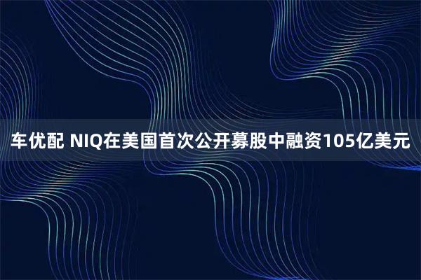 车优配 NIQ在美国首次公开募股中融资105亿美元